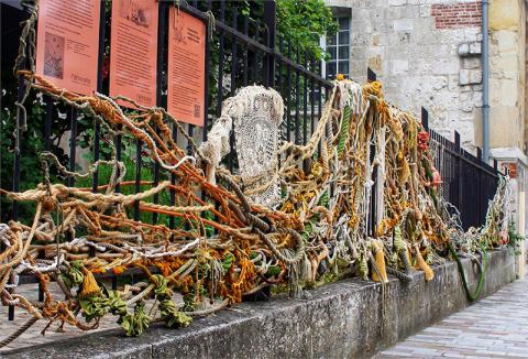 photo Entrelacs, tissage vivant